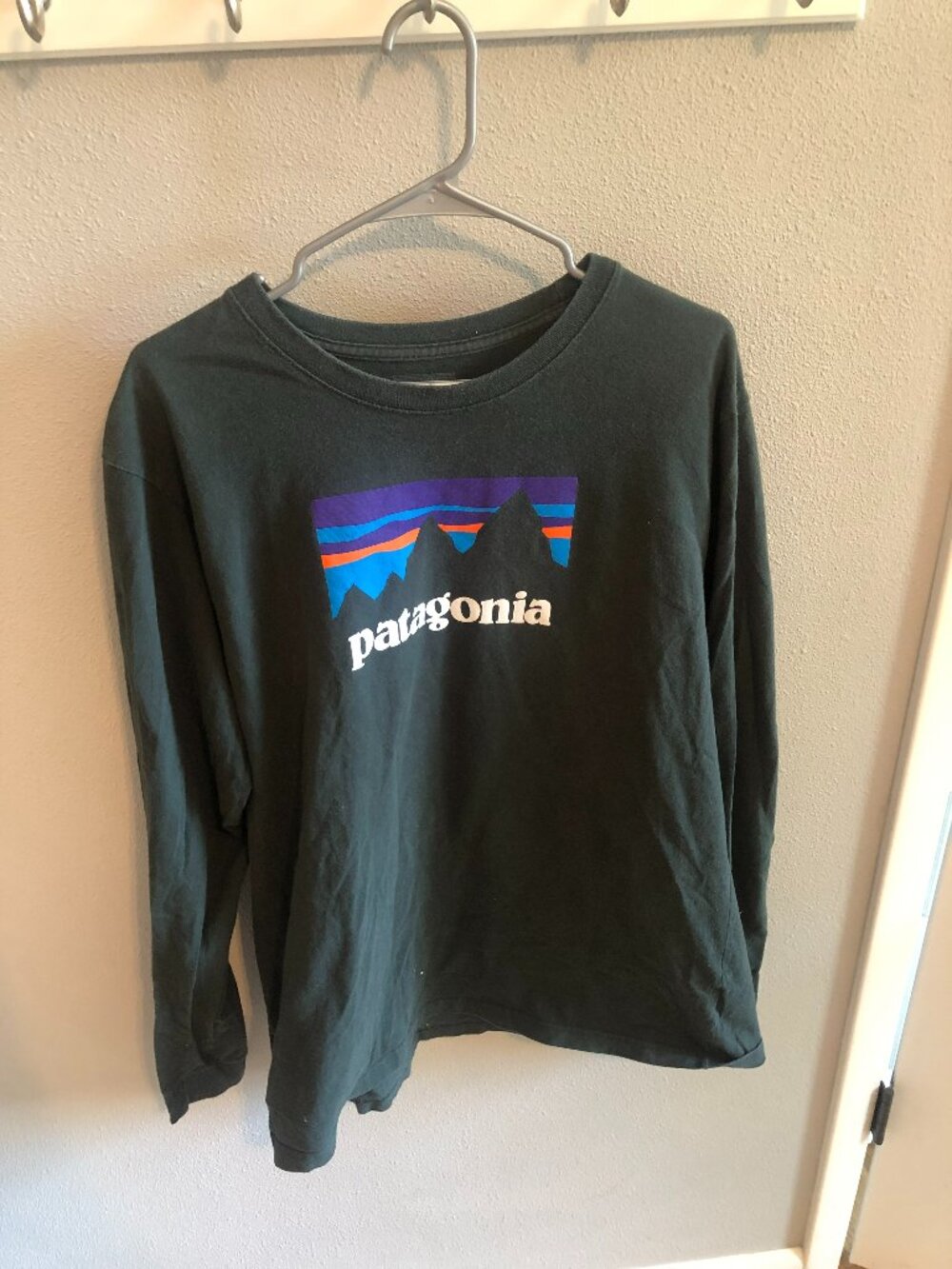 Men's Long Sleeve Patagonia Shirt